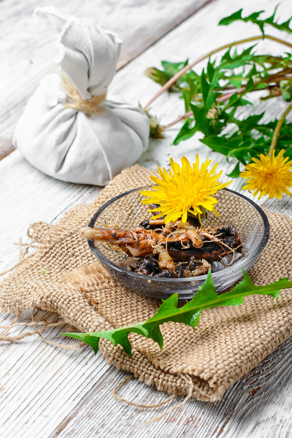 Healing Dandelion Root